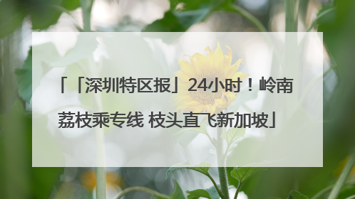 「深圳特区报」24小时！岭南荔枝乘专线 枝头直飞新加坡